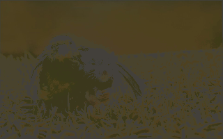   (  , 115773 )