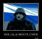   ( %, 84428 )