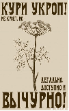   (.jpg, 121558 )